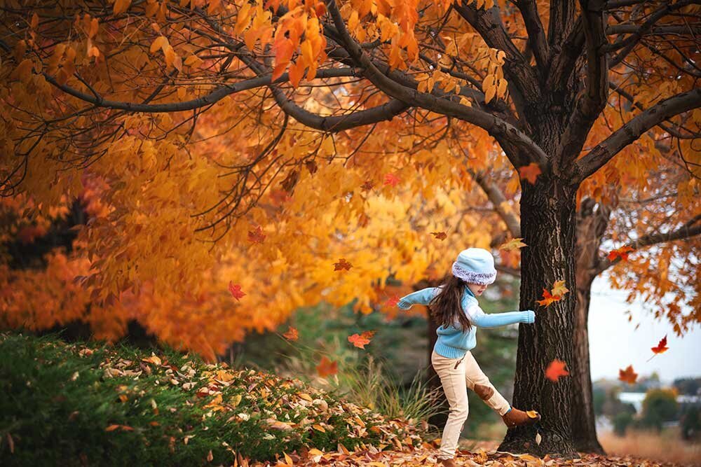 colorful-vibrant-children-fall-leaves-storybook-fairytale-best-colorado-kid-photographer