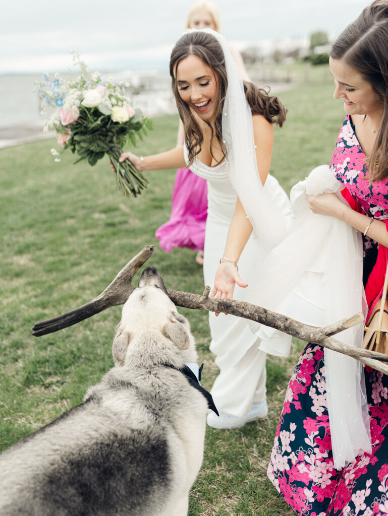 Silver-Swan-Bayside-Wedding-27