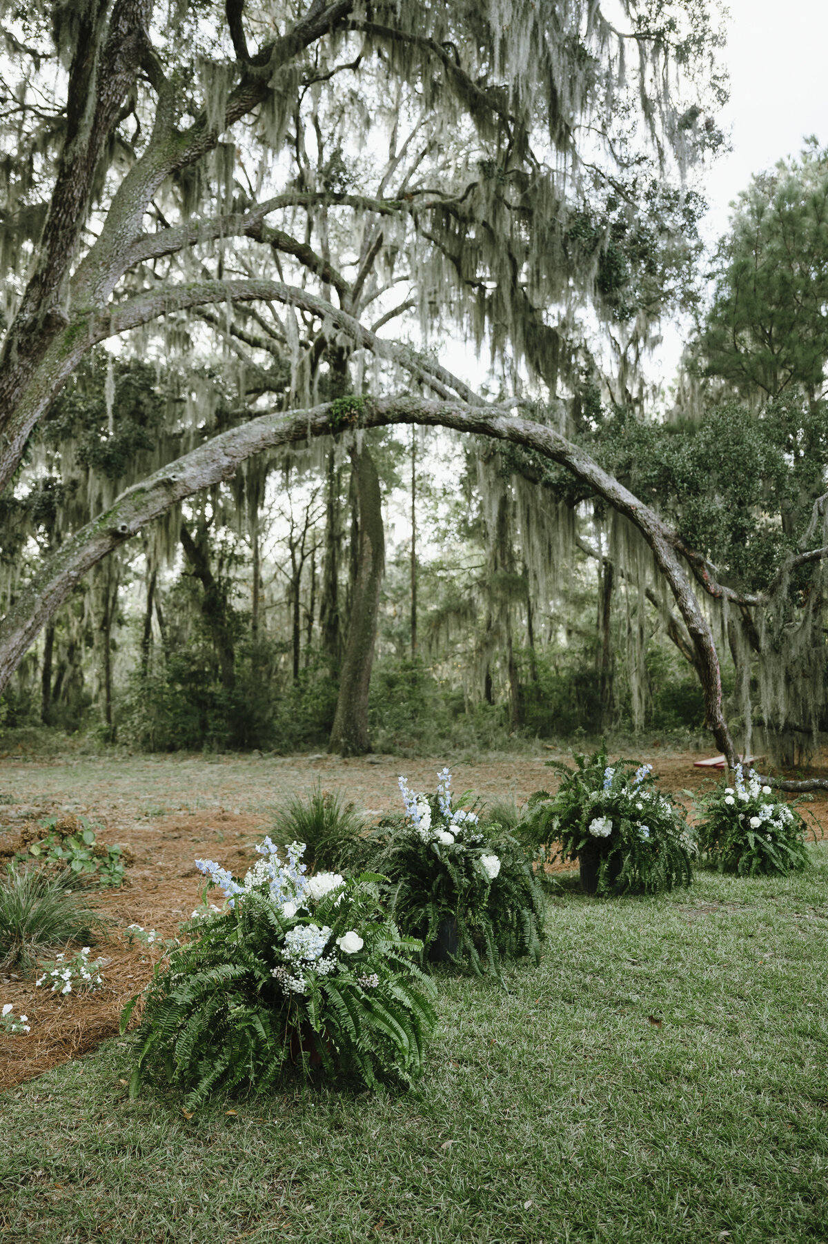 Savannah Georgia Wedding Photographer