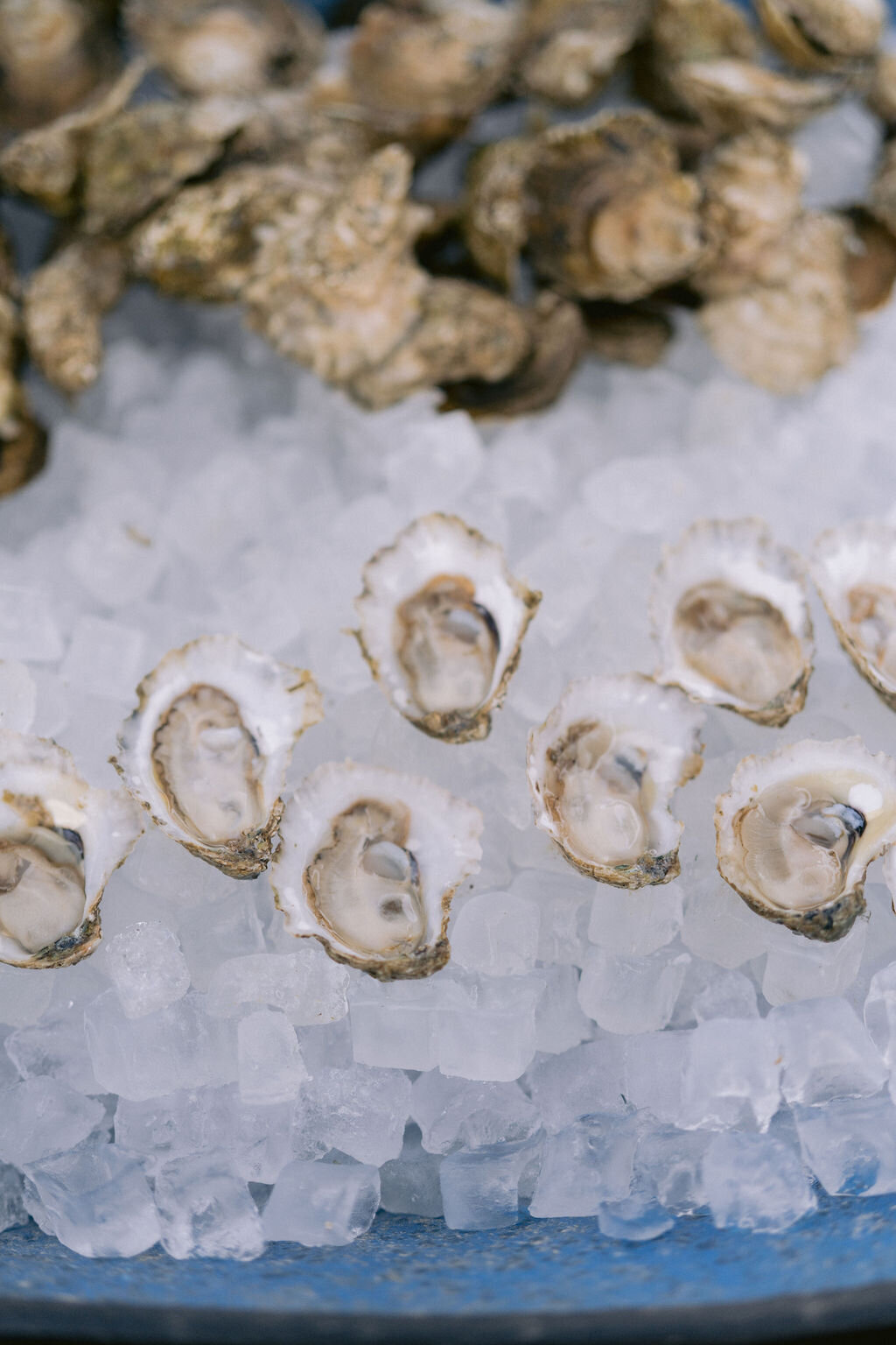 NikkiSanterre_EastCoastLuxuryWeddingPhotographer_TidesInnWedding_Katie&Greg-3