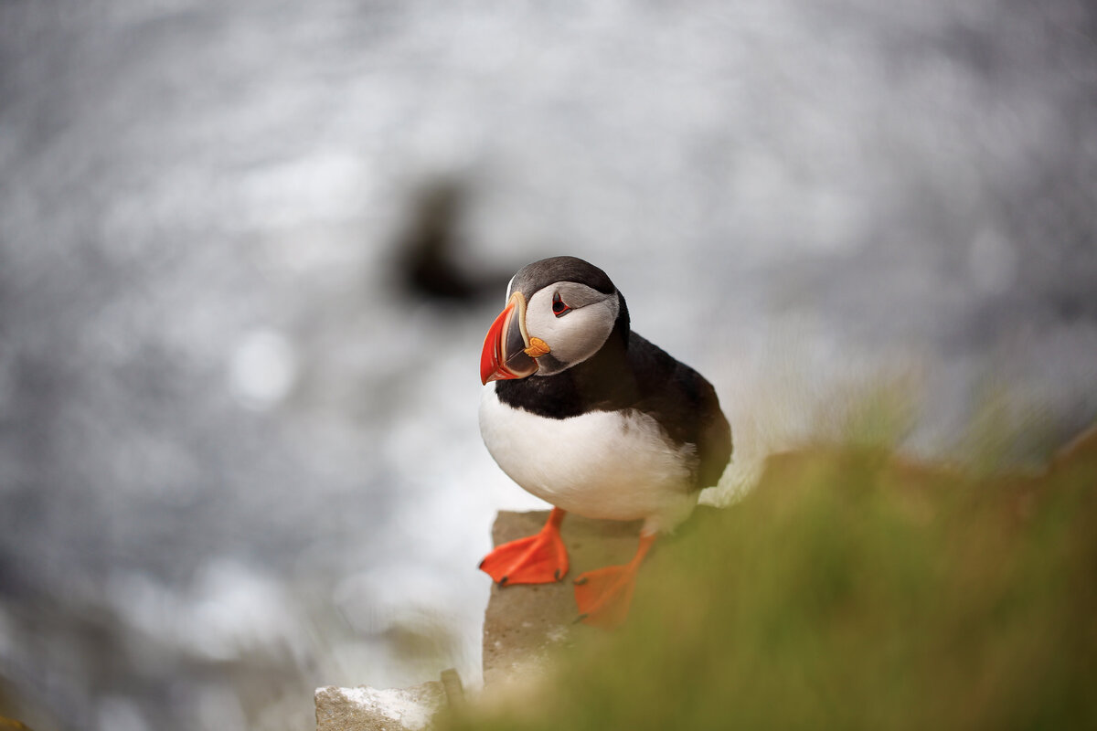 Savannah-photographer-traveler-iceland-04
