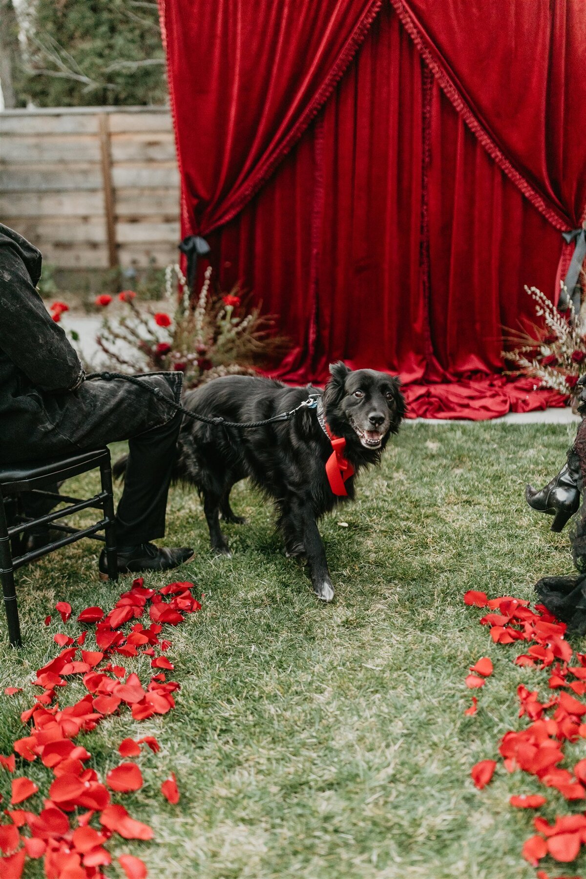 national-exchange-hotel-goth-dark-romance-vampire-wedding-180