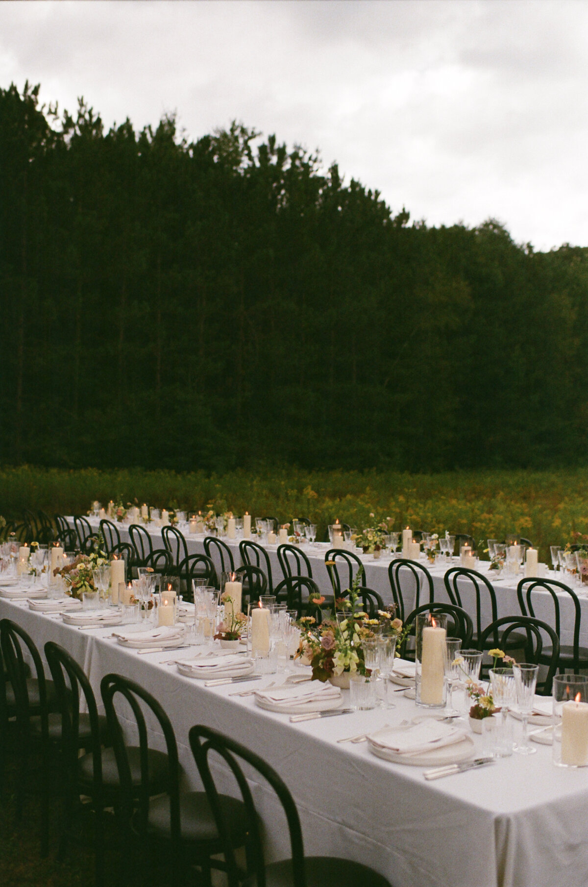 Alisha and Reid film-60