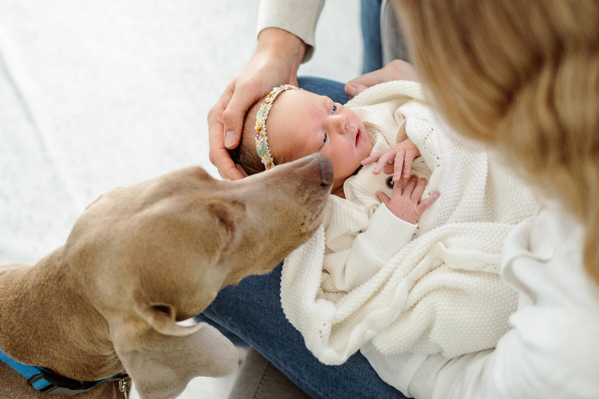 Tucson-newborn-Photographer43