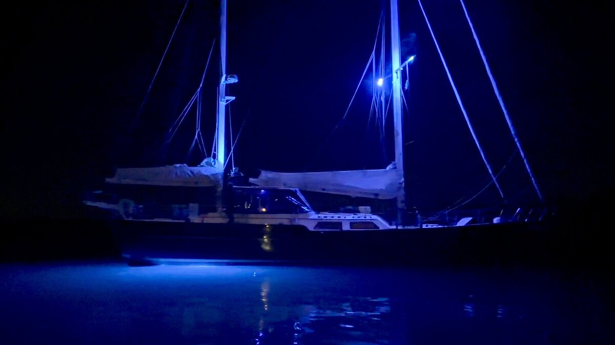 Blue Pearl_076