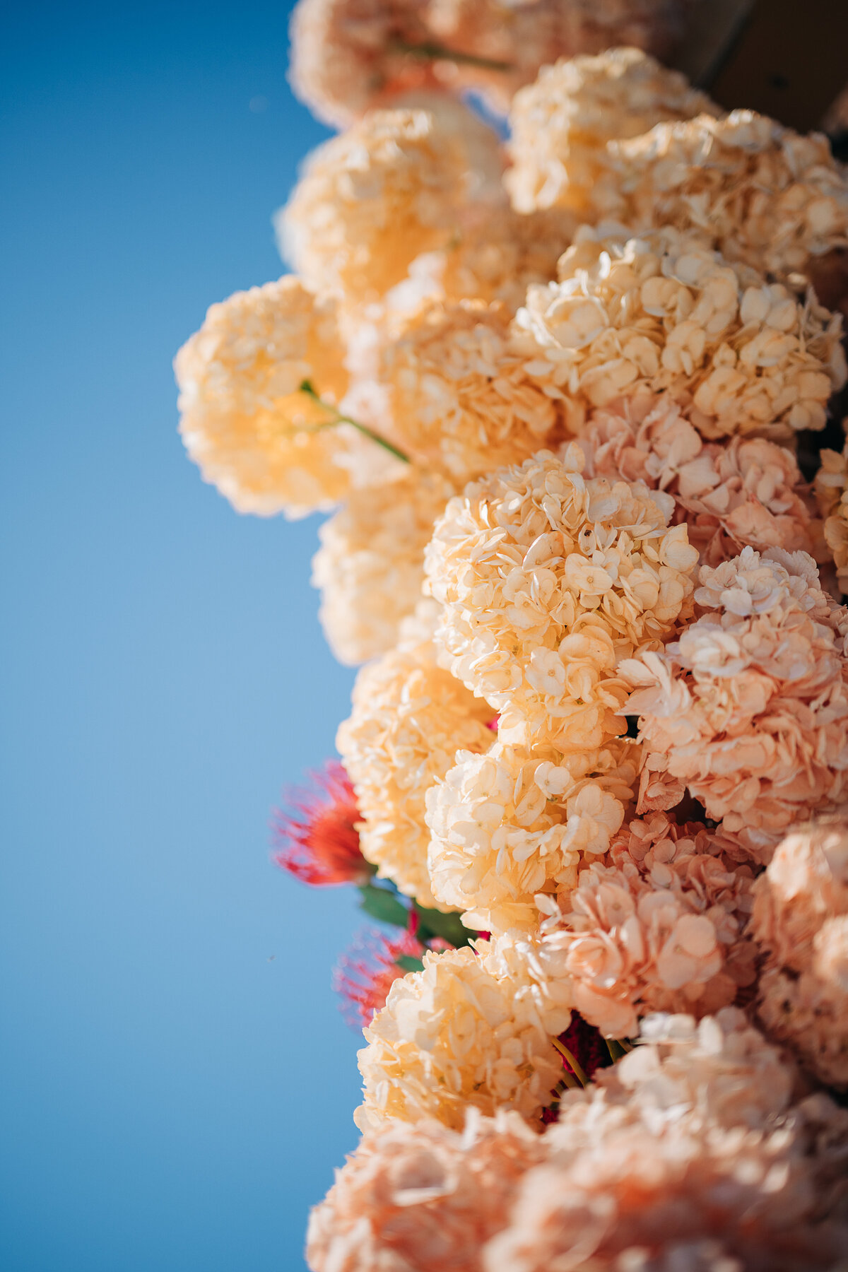 356-janak-jayna-wedding-varna-studios