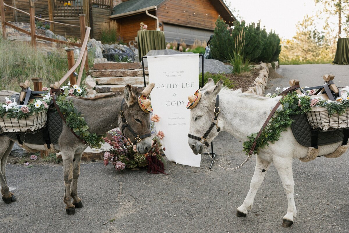 CL+C Wedding-628