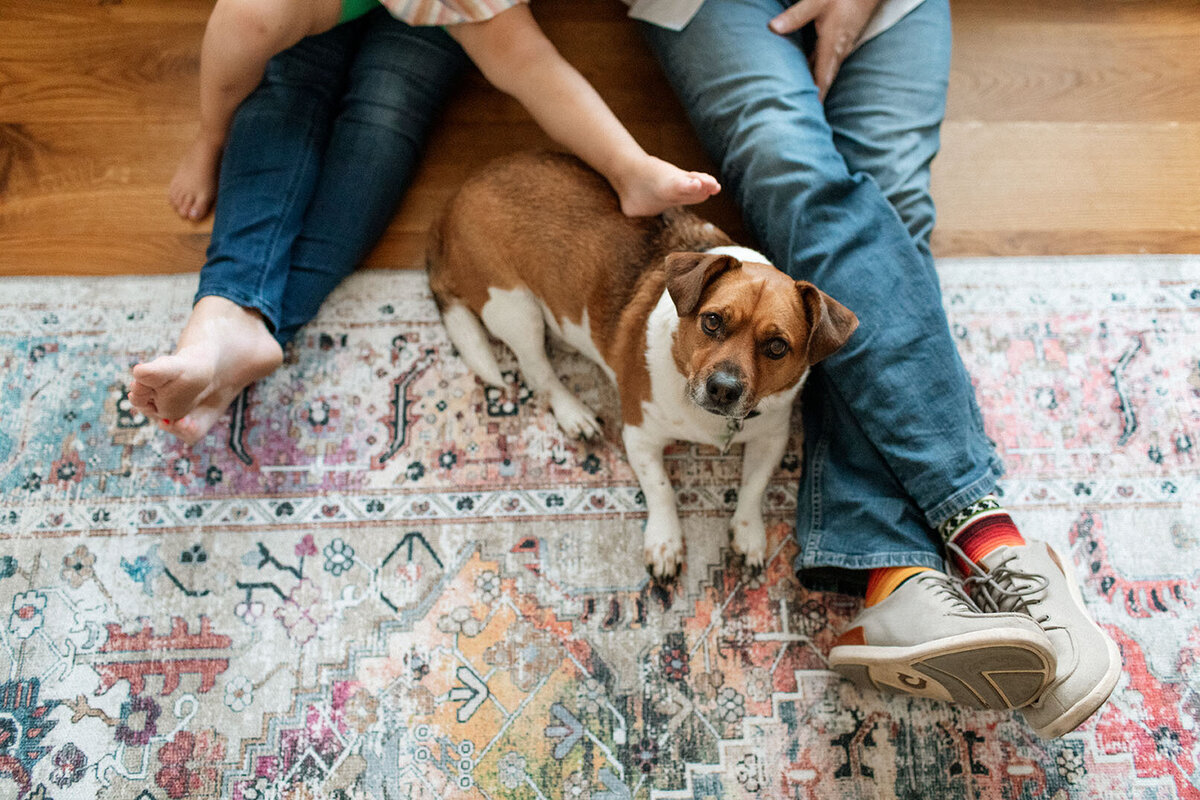 san-antonio-family-pet-photography-sara-james-01