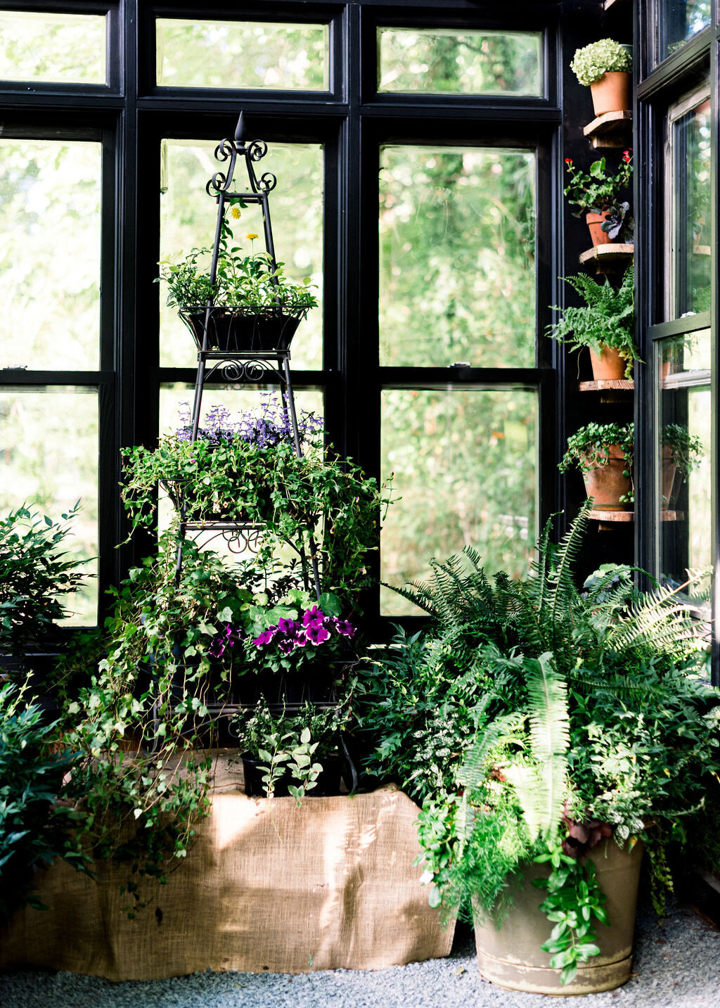 Container gardens inside a black greenhouse