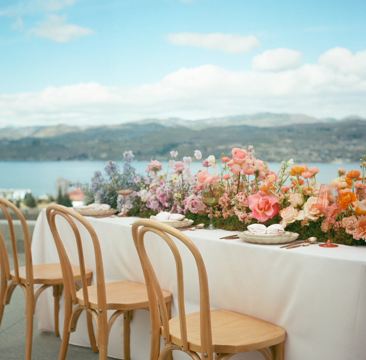 alesia-films-photography-larc-hill-winery-10