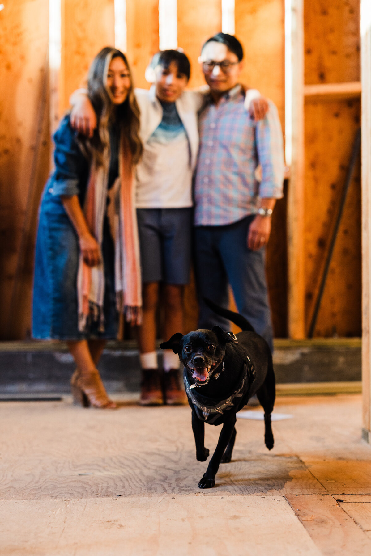 dog-in-family-photo