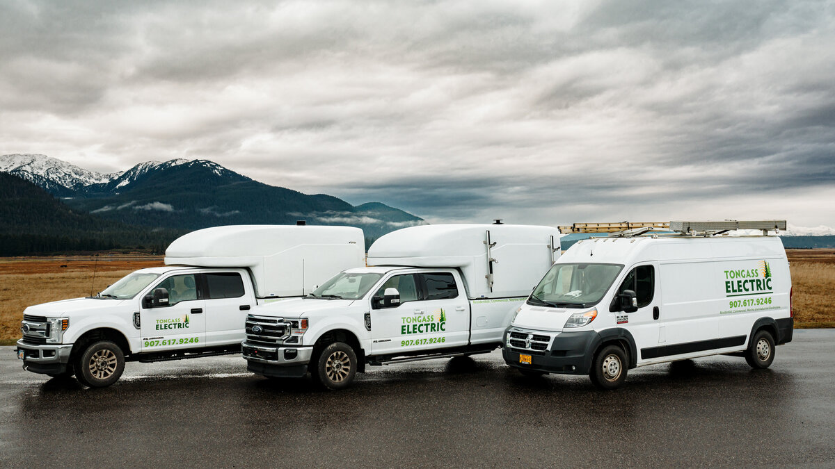 tongass-electric-branding-55