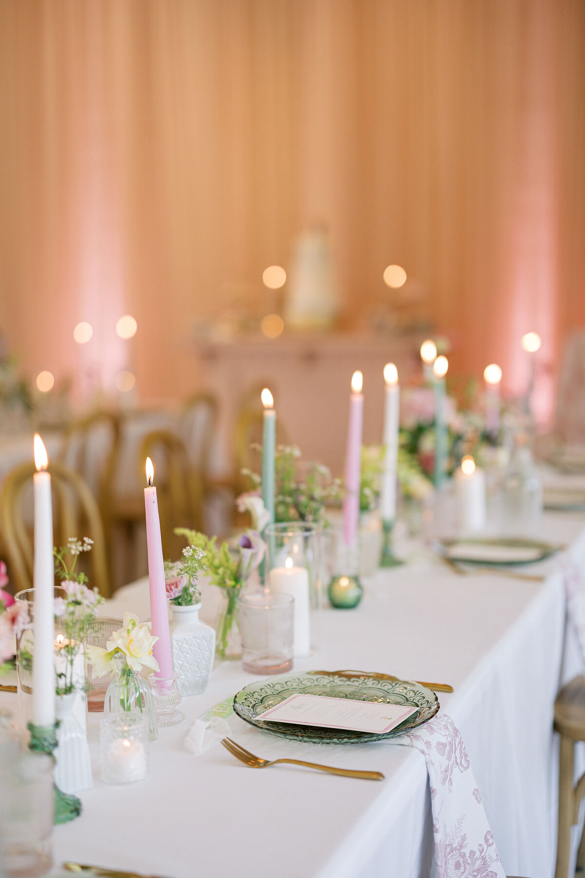 Diana-Brewer_Cheyenne-Nathan_10Reception-17