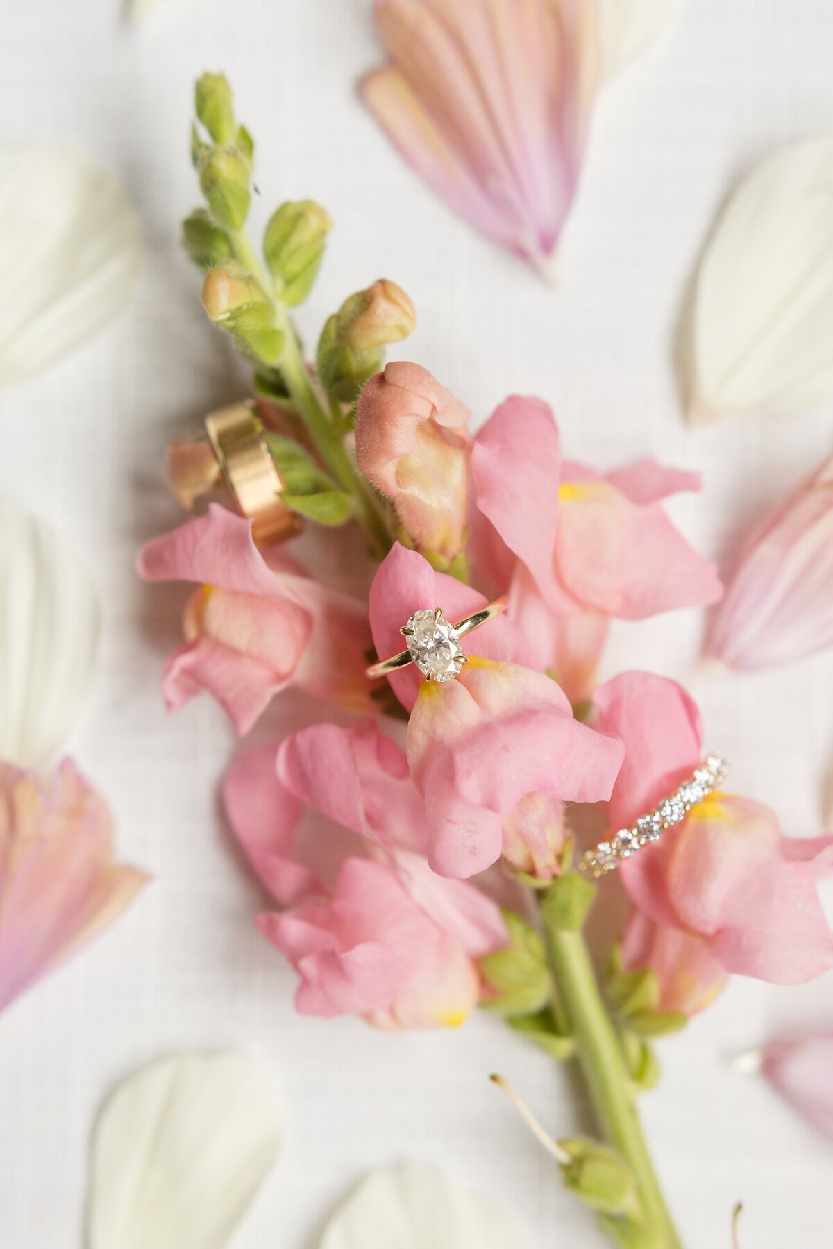 Stunning Elsie Perrin Williams Estate Wedding - Dylan and Sandra Photography - 0114