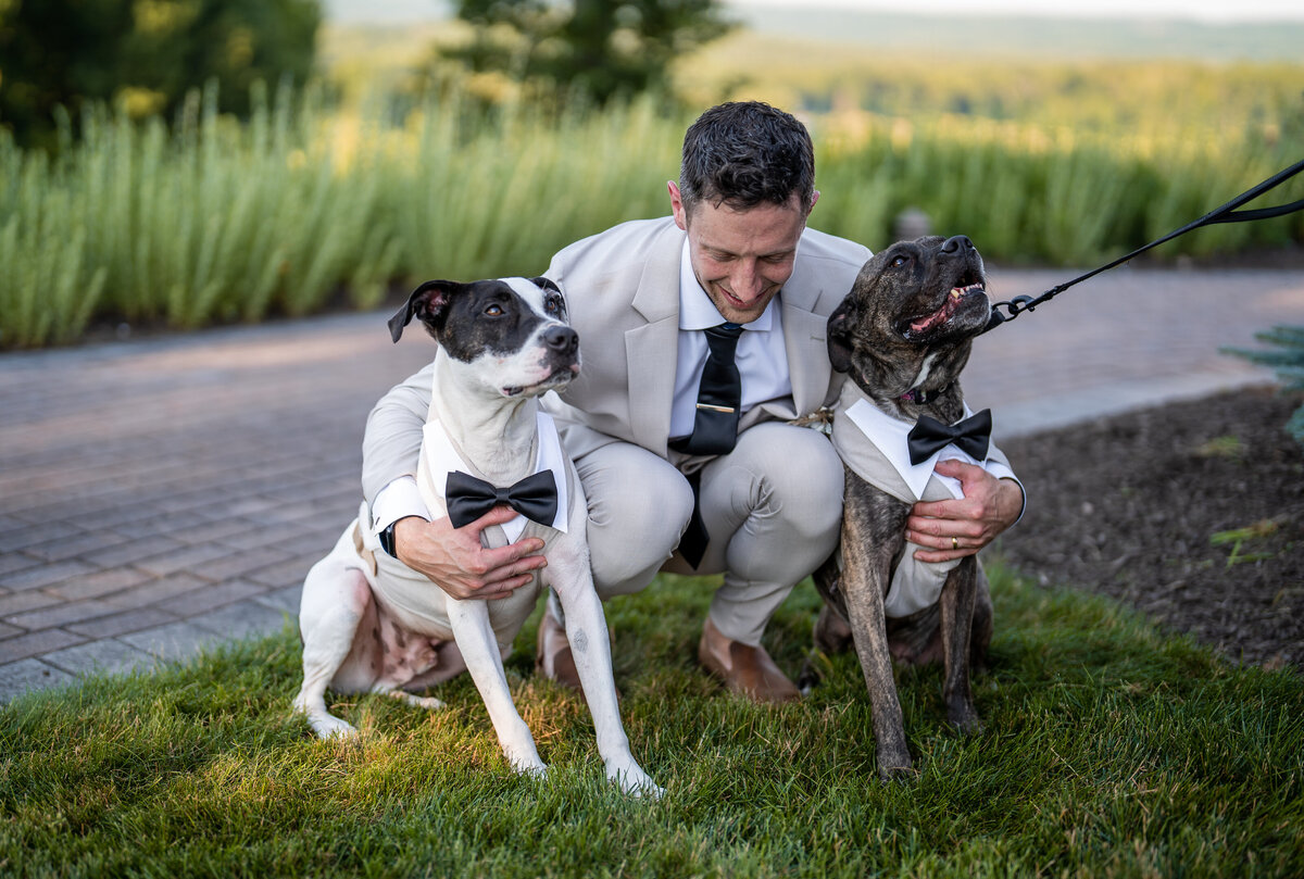 the-overlook-at-geer-tree-farm-griswold-ct-modern-boho-wedding-ceremony-dog-petals-plates-04