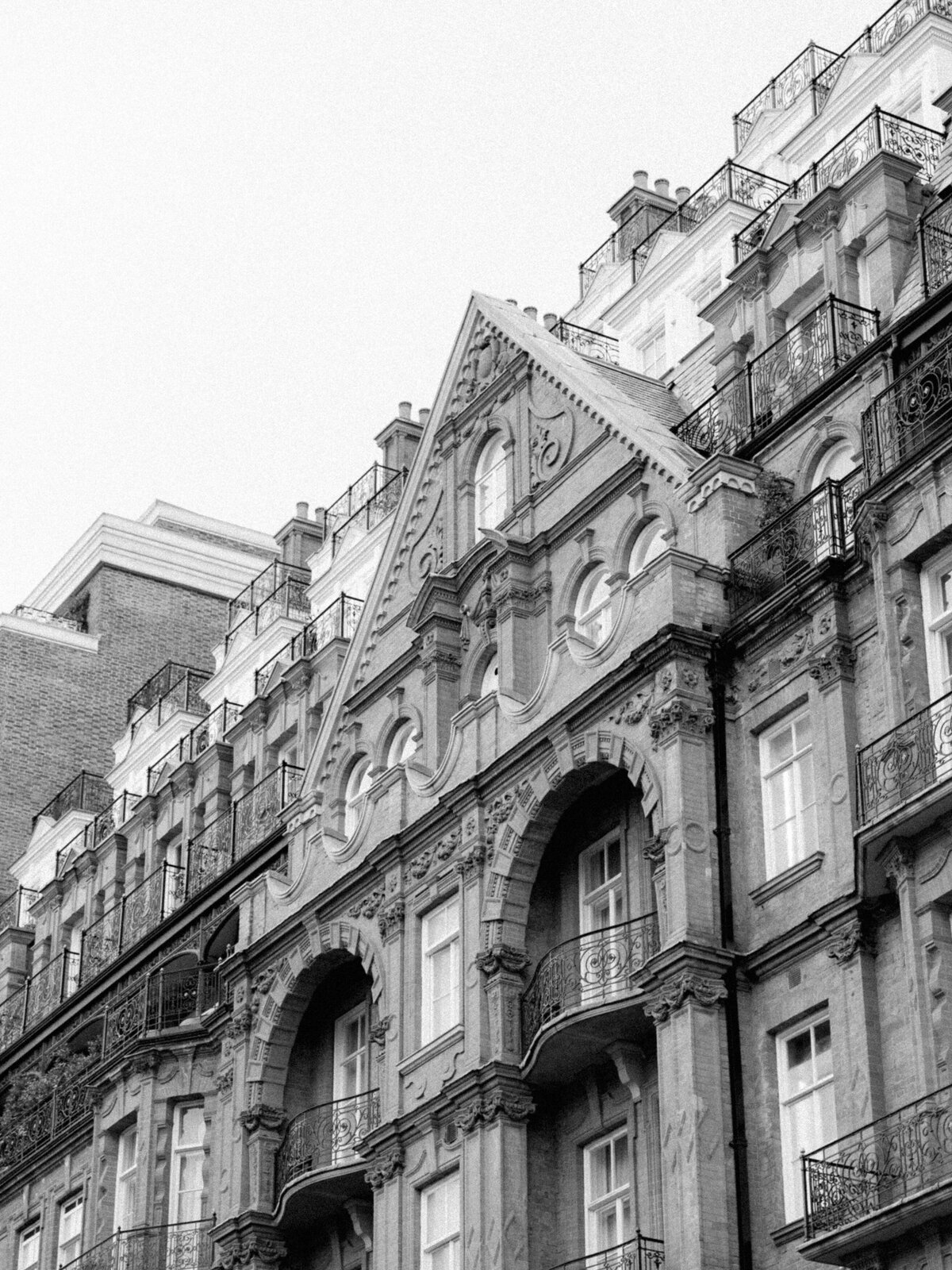 nhm-christine-morgan-Holly Clark Photography -158