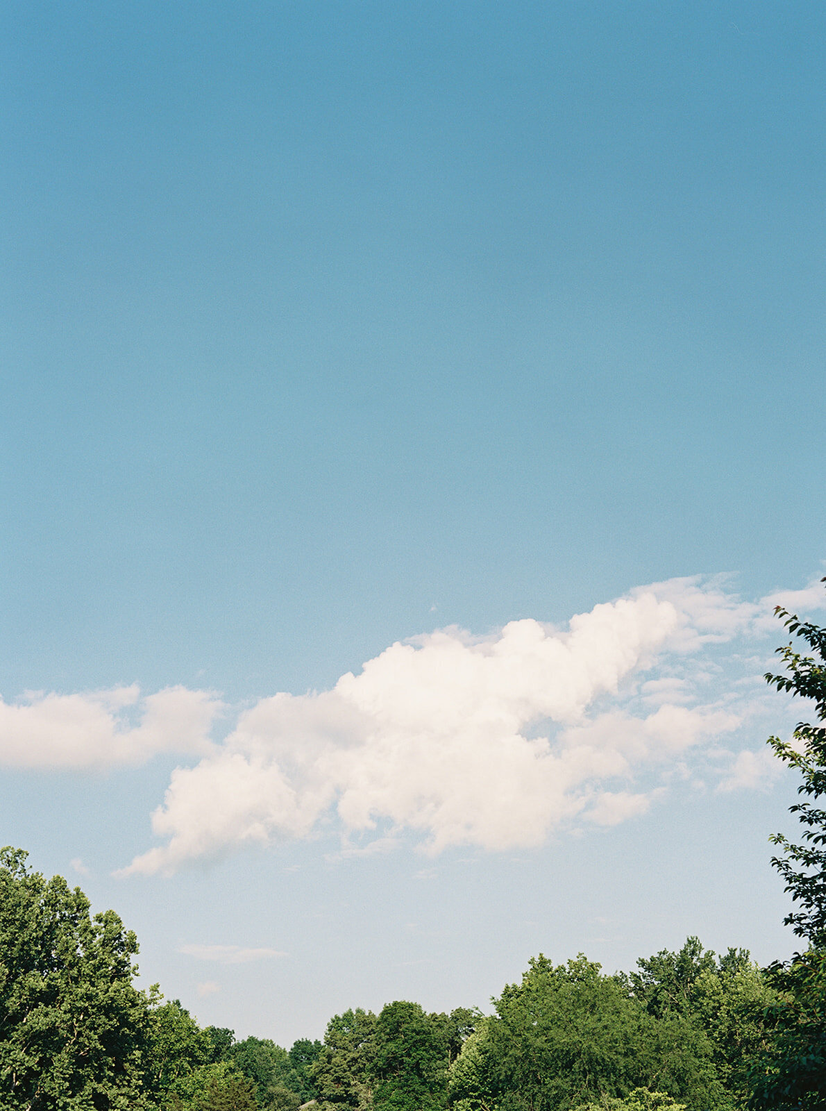 Virginia Wedding Photographer Natalie Jayne Photography-04