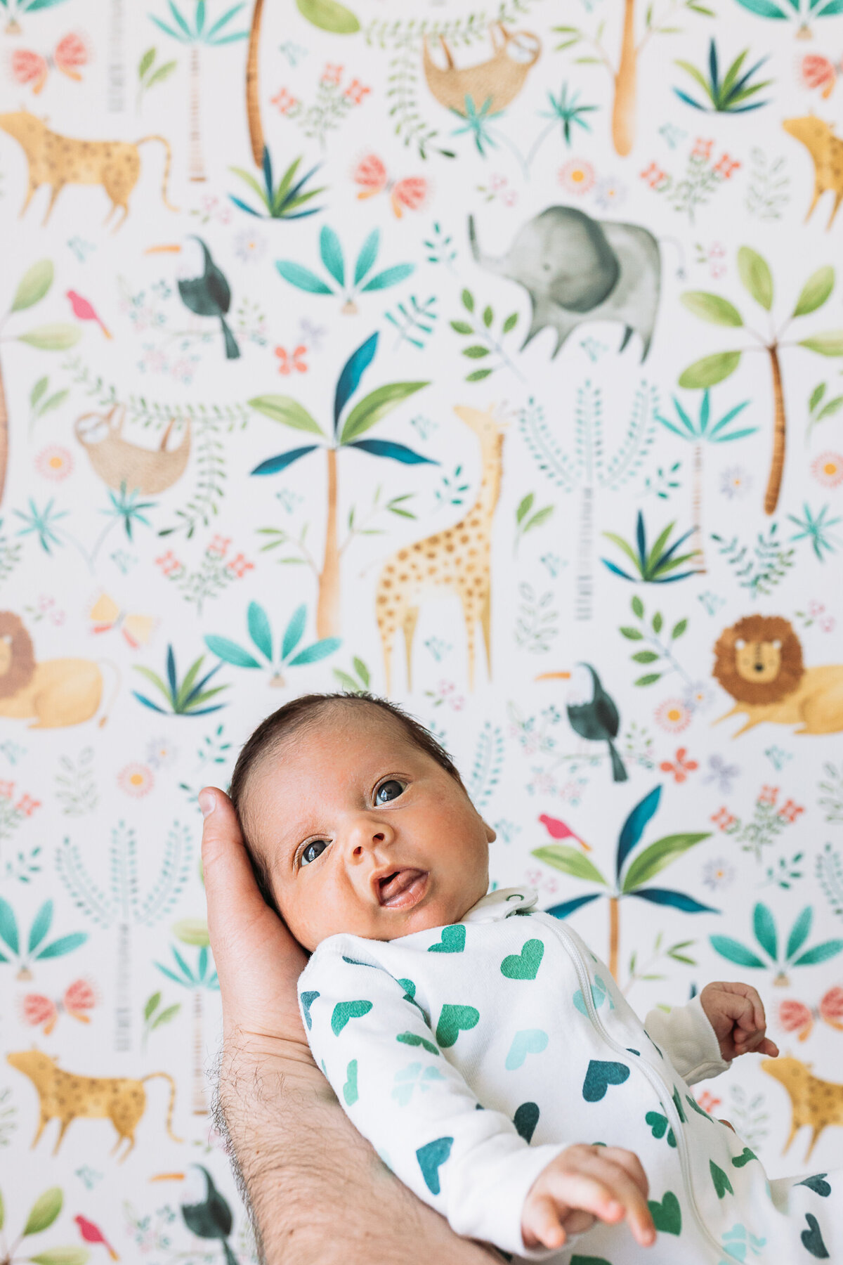 Newborn Photographer, a father's arm hold newborn baby in front of patterned wall with zoo animals