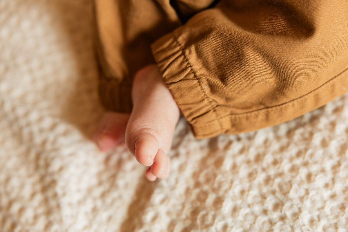 colorado family photographer