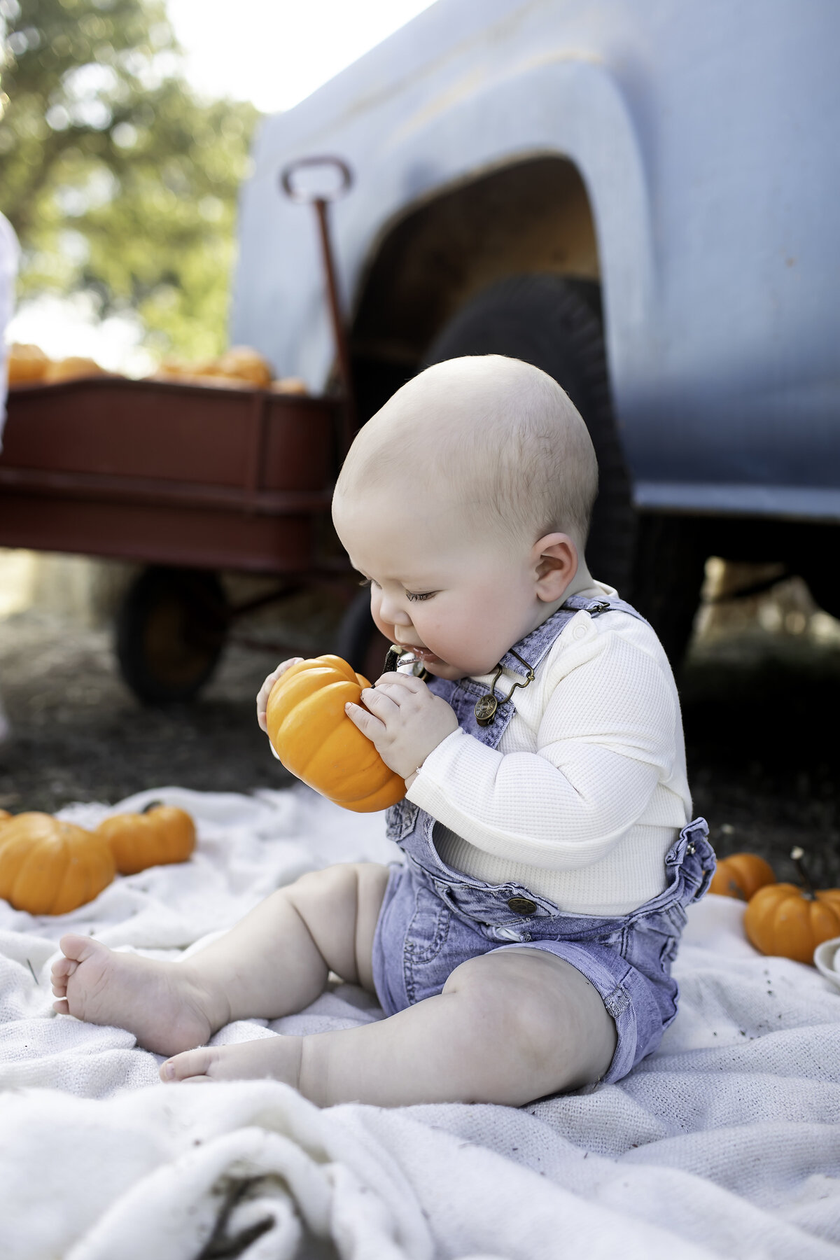 Fort Worth Child Photographer-1V5A4101-Edit