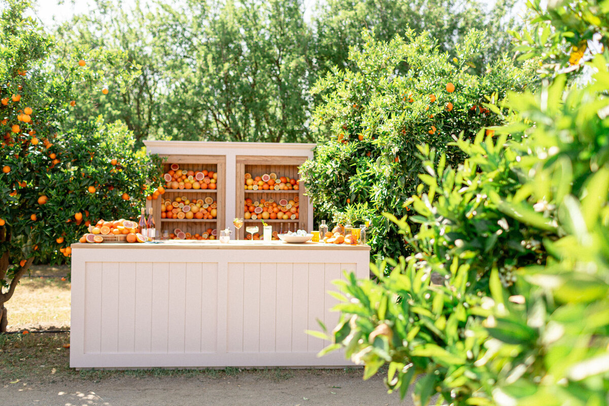 160-larissa-cleveland-ashley-smith-events-wedding-california-photographer-121