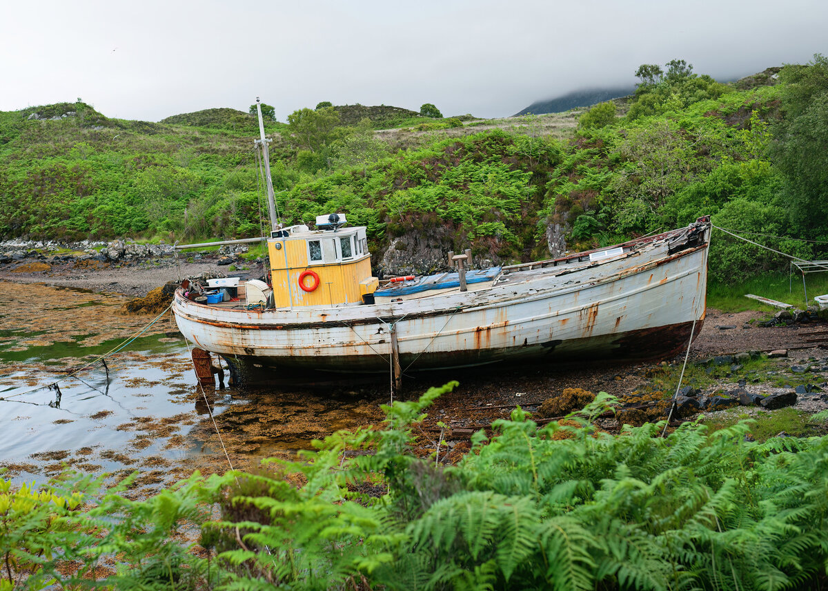 LANDSCAPE_2024_Shipwrecked_Shelby Finkelstein
