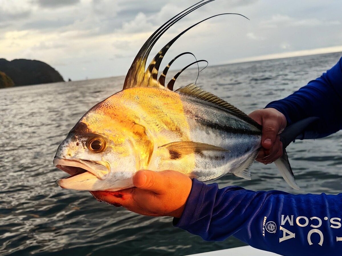 4a9dd685-e564-417b-8d68-4b69e06140f6