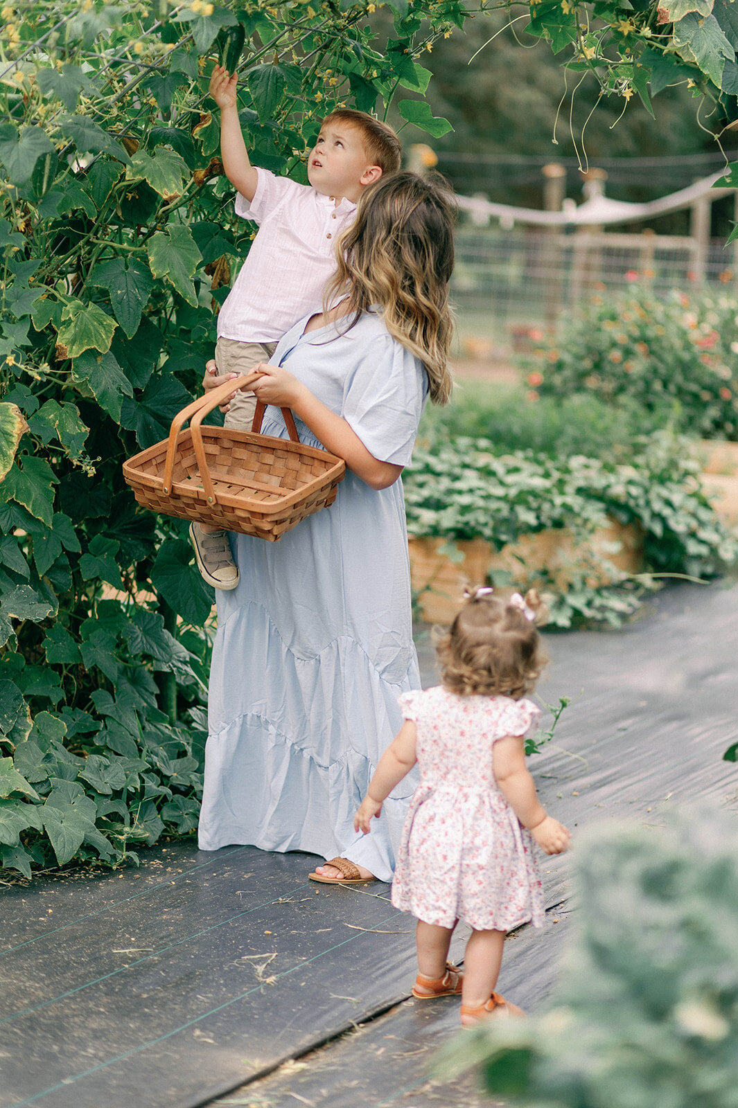 Mom and kids picking veggies from garden