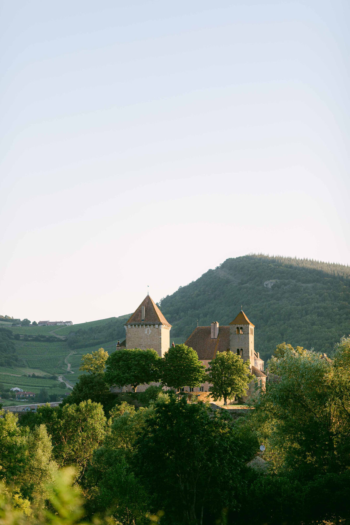Château entouré par les vignes en Bourgogne