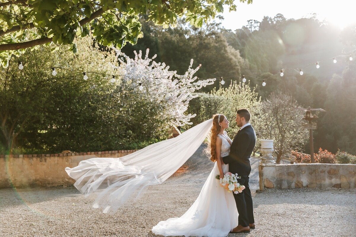 Elope-micro-wedding-elopement-victoria-Healesville-Sanctuary18