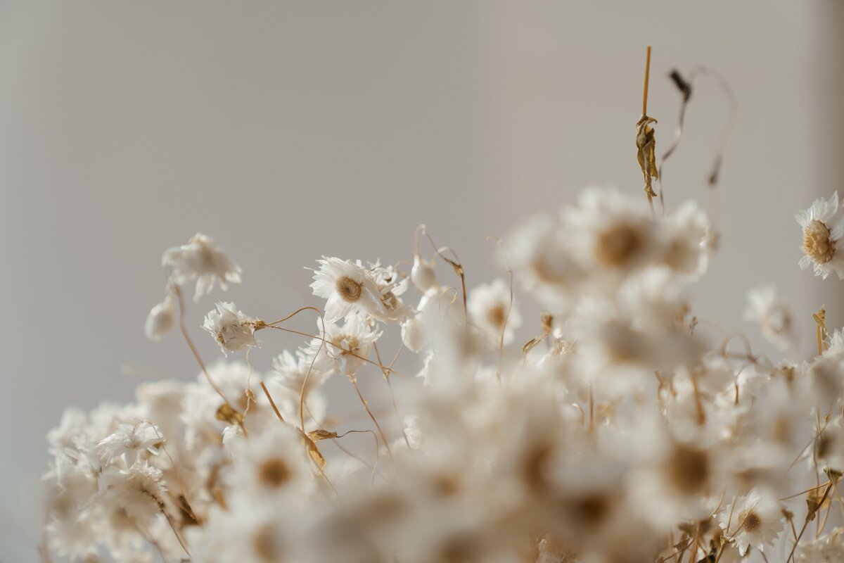 pexels-cottonbro-4270167