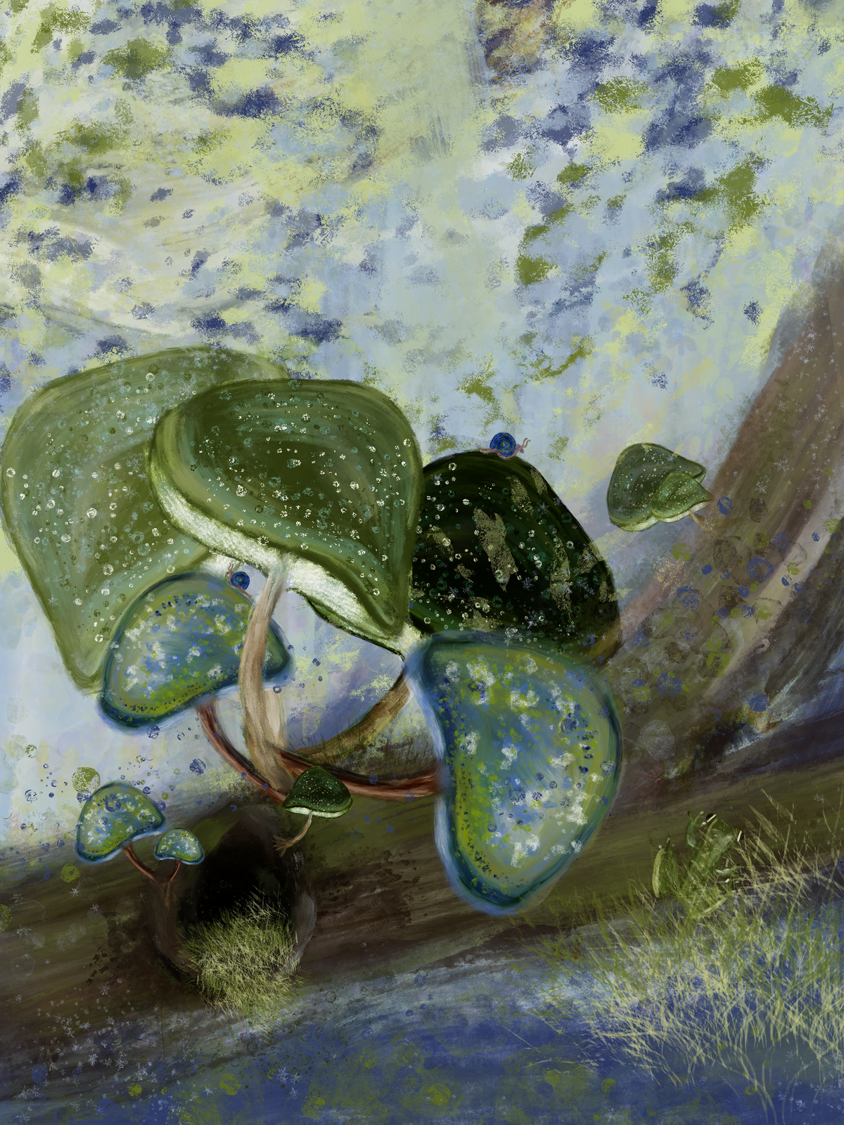 Mushroom 2