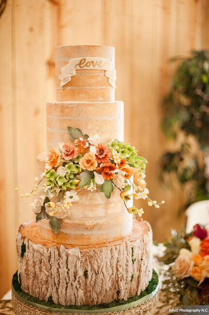 Artsy Cakesy Wedding Cakes - 34