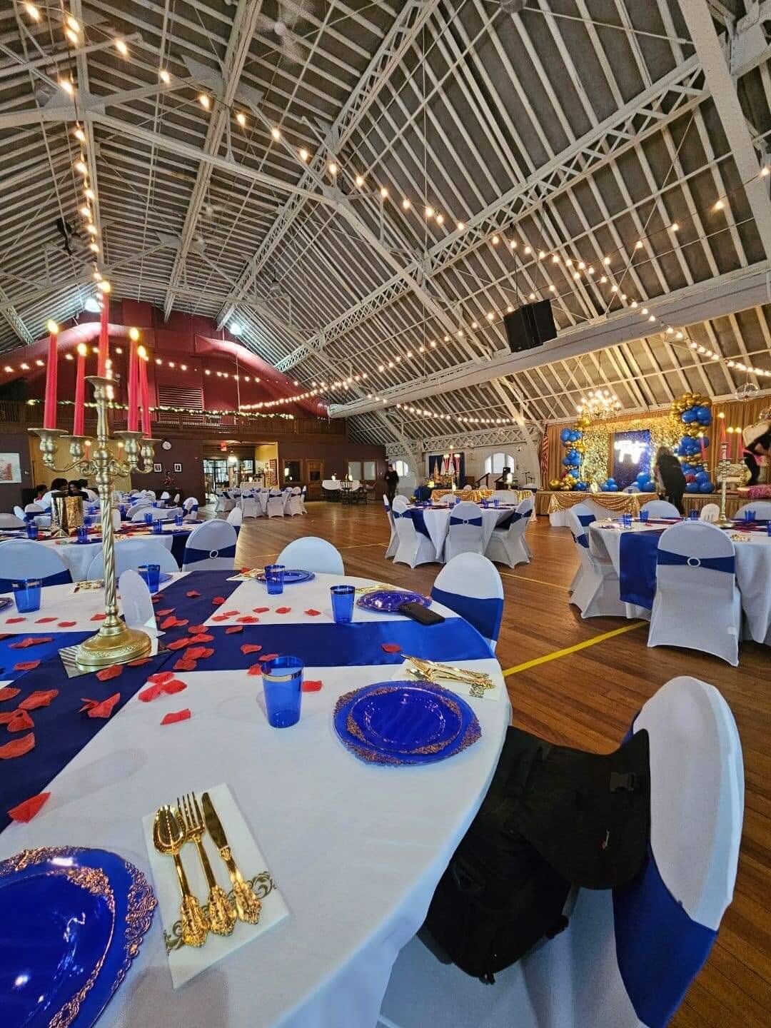 party decor - balloon installations - kids parties - Massachusetts -101