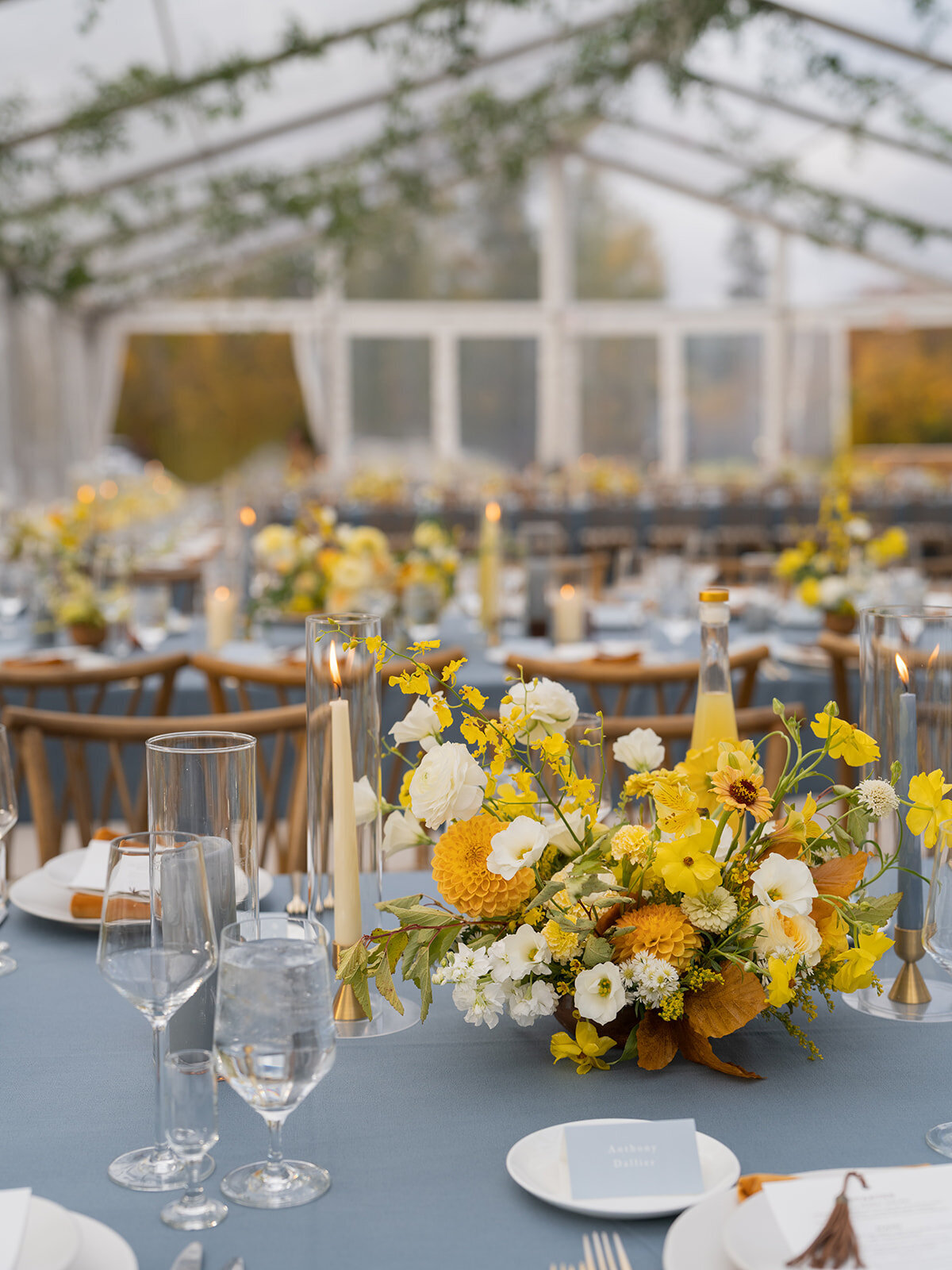 Lauren & Seth Digital Preview-9