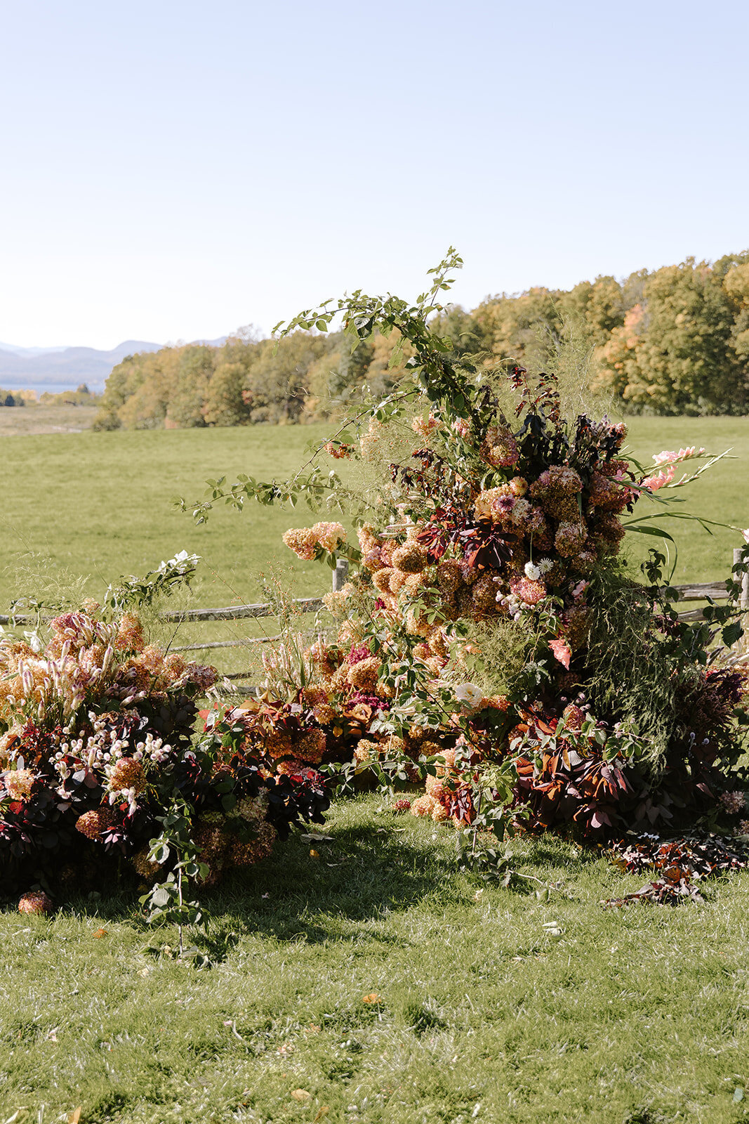 D_A_Wedding-480