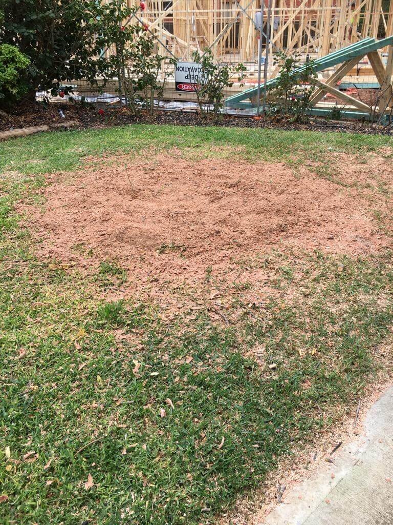 Evergreen Tree Services SA-Stump Grinding-003