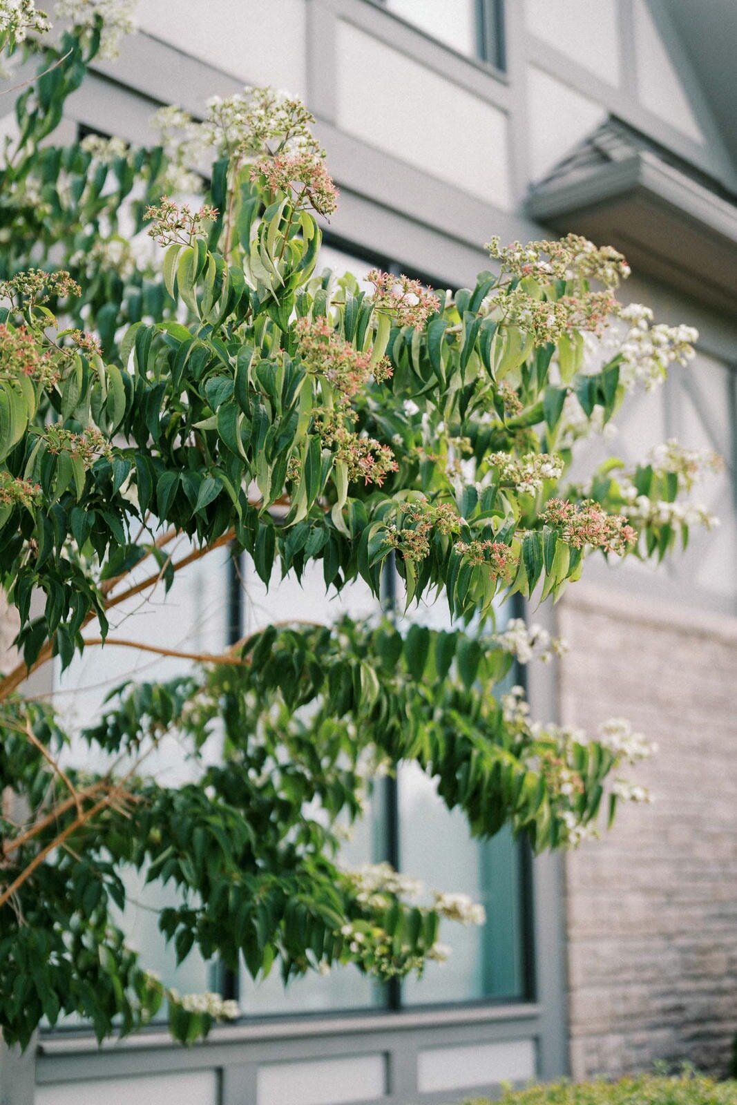 W8-Wedding-events-Deer-Creek-Shelly-and-Alexander-2024-09-28-2500px-1043