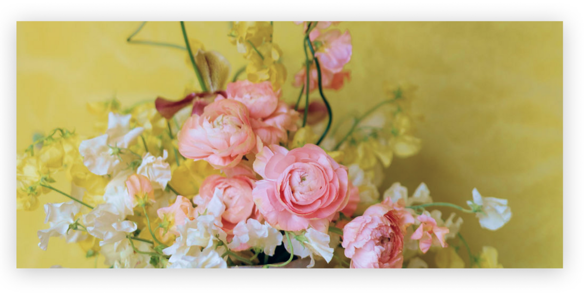 Flowers | Amphora Edu