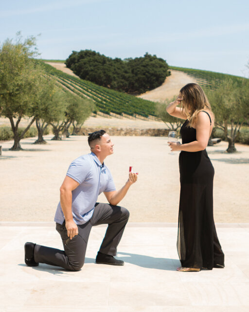 MooncrestMedia-California-proposal-photographer-6