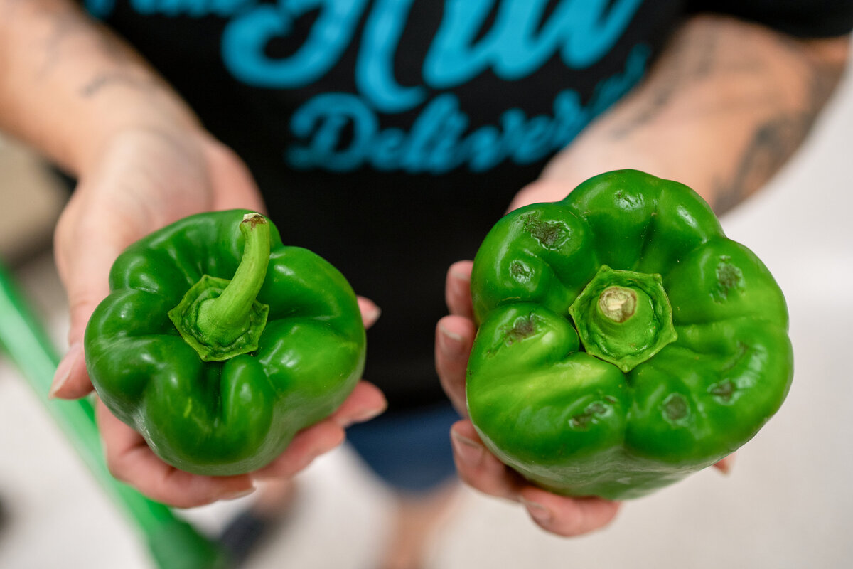 Queen Of The Hill _ Samantha Byrd Photography-(6 of 104)