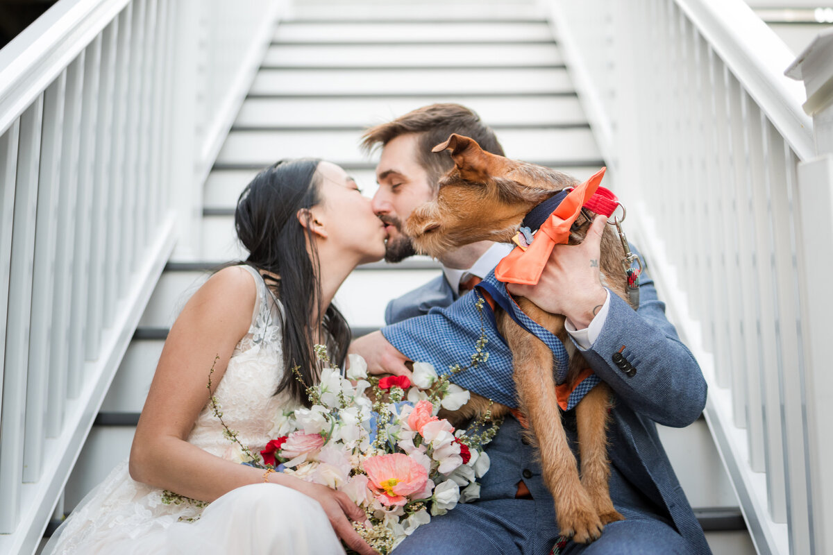 Boston-Wedding-Photographer-elopement-backyard-wedding-85