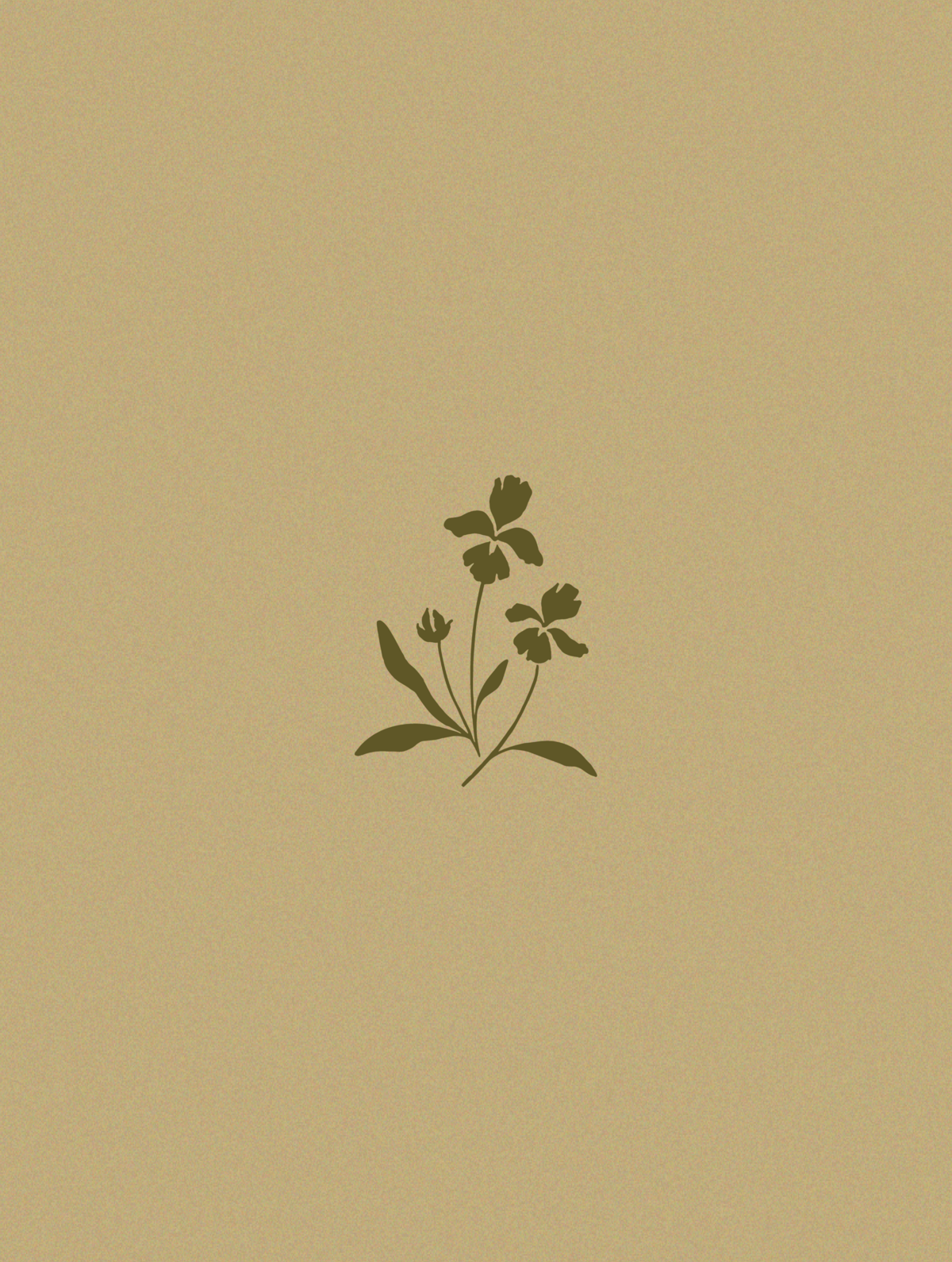 Floralyn Portfolio-35