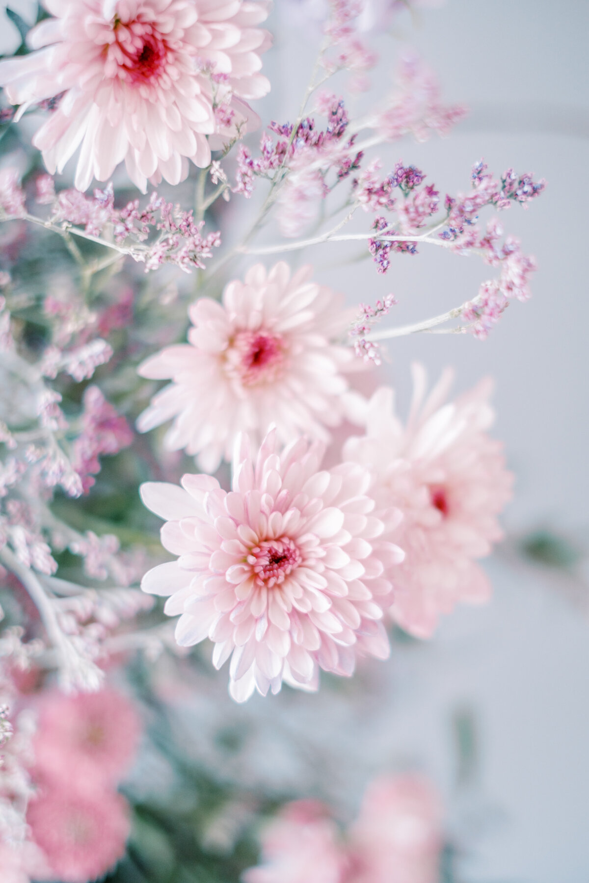 Mimi_s-StudioPlay-151