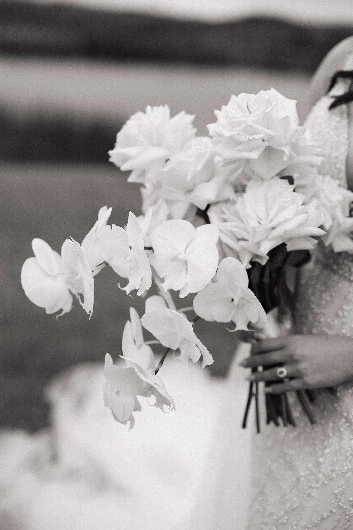 AmyAllenCreativeCo-Coupes-50