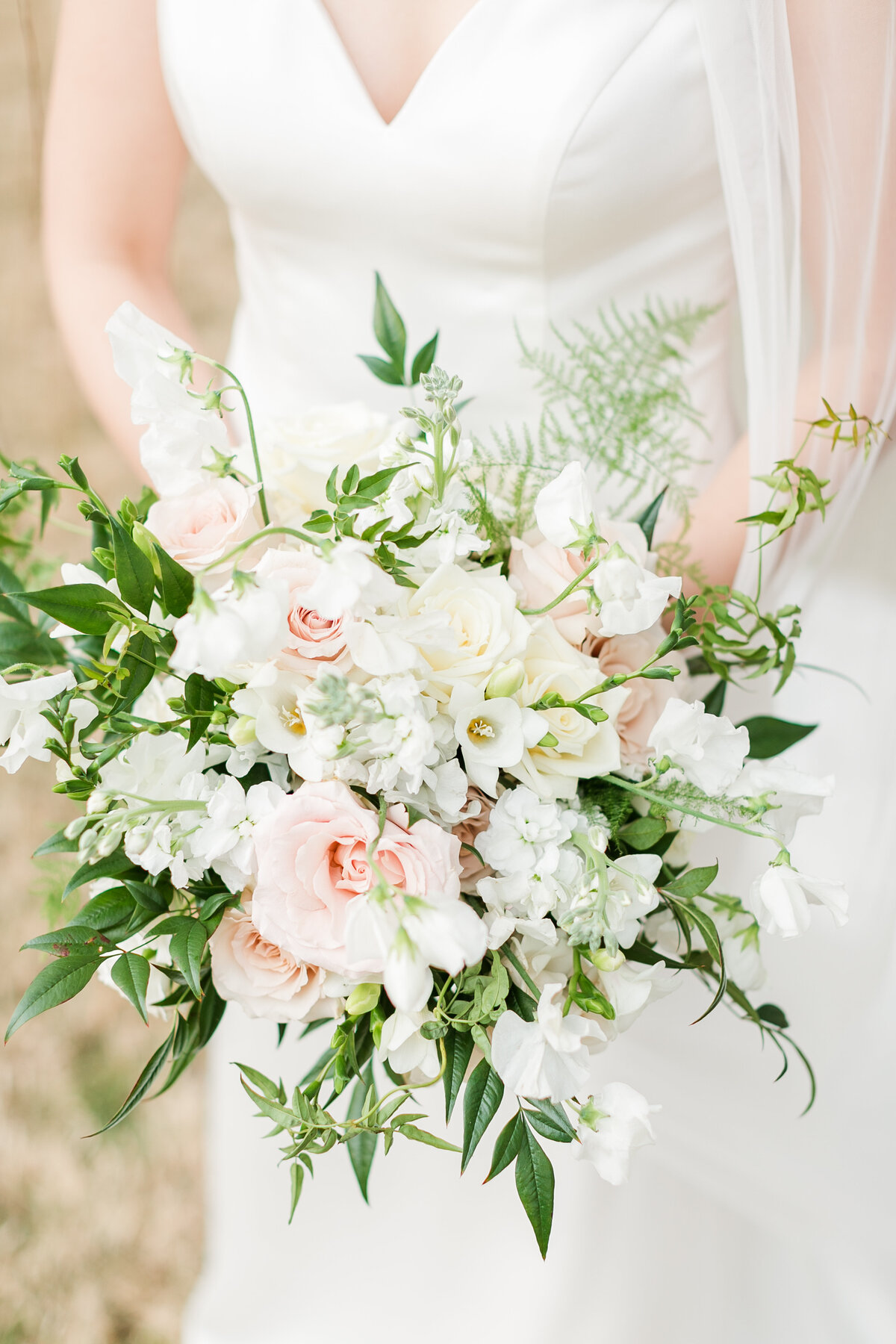 Tara_Card_Photography-2-40