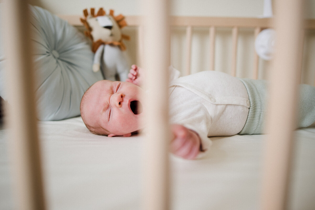 Plymouth Newborn Photography at home 4