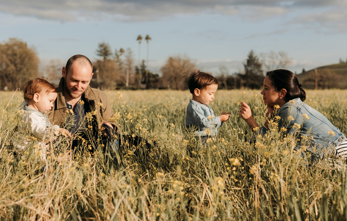 Mustard mini photoshoots are a Sonoma County favorite