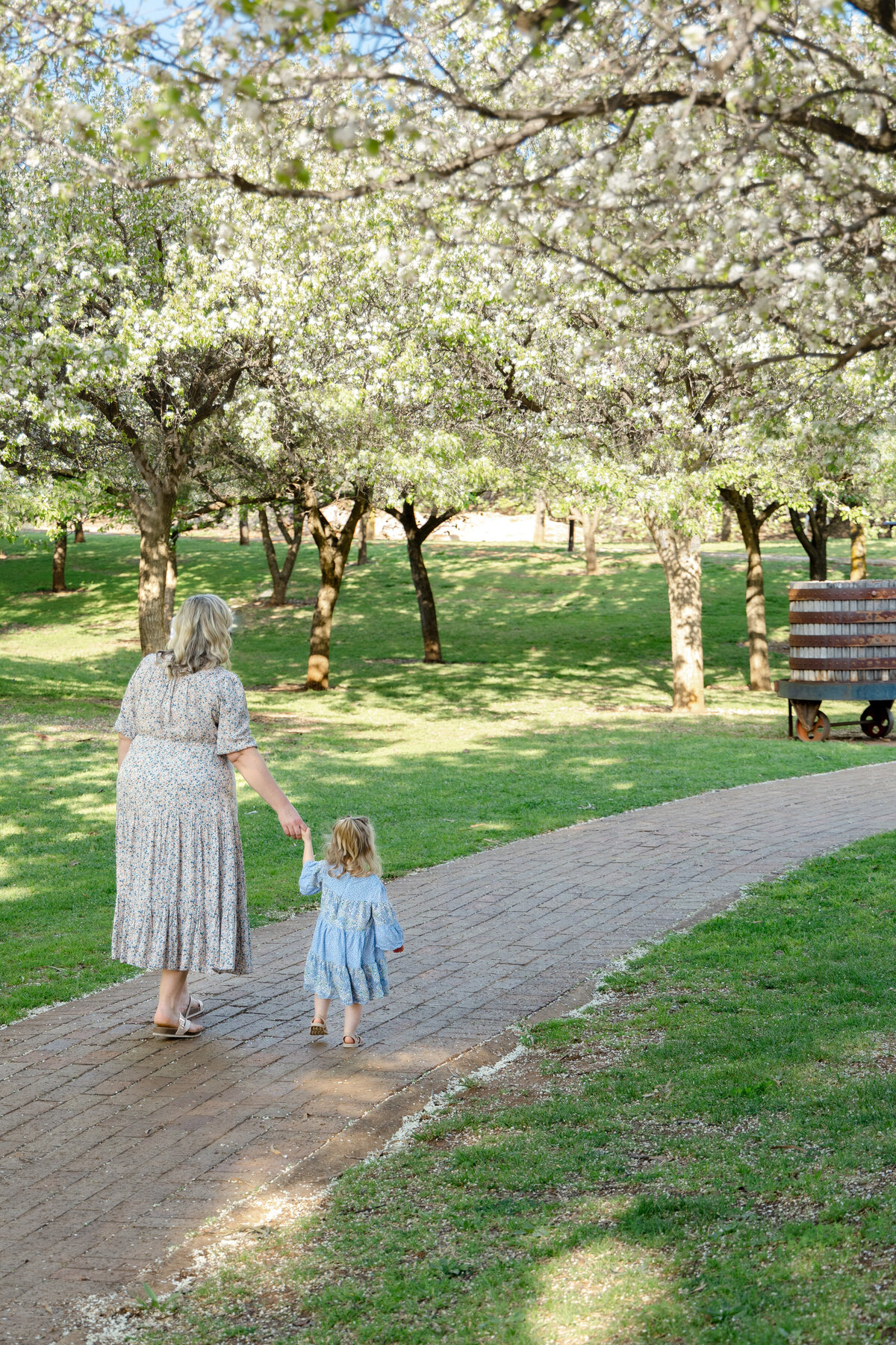 Blossom Walk