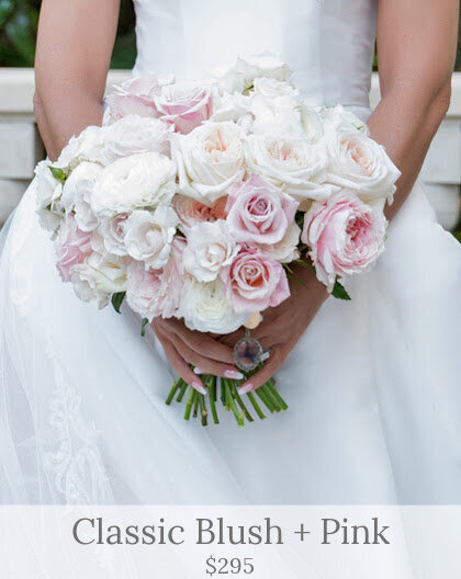 Classic Blush + Pink (1)